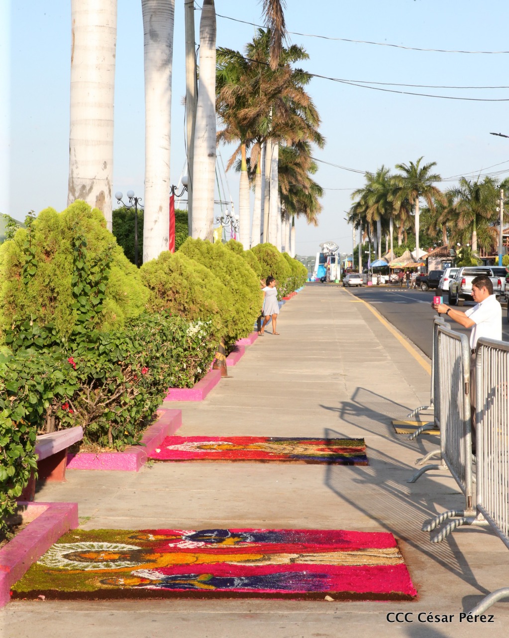alfombra1
